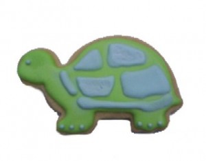 Turtle Cookie